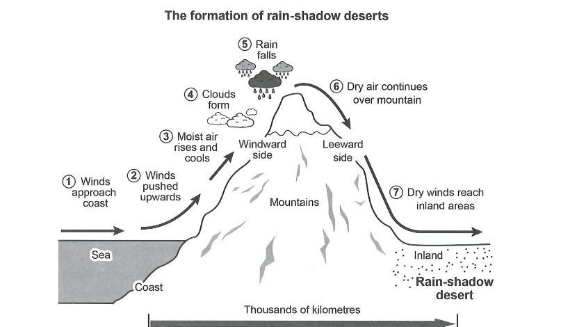Process Diagram — Rain-Shadow Desert Formation